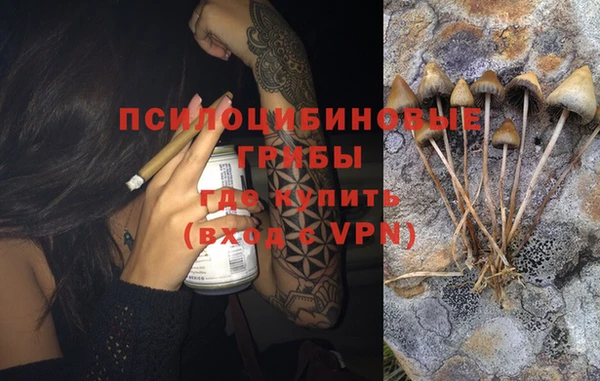 дмт Пролетарск